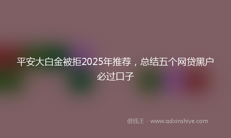 平安大白金被拒2025年推荐，总结五个网贷黑户必过口子