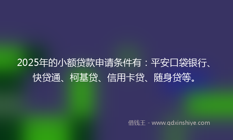 2025年的小额贷款申请条件有：平安口袋银行、快贷通、柯基贷、信用卡贷、随身贷等。