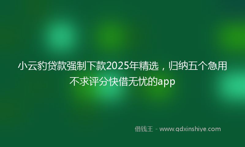 小云豹贷款强制下款2025年精选，归纳五个急用不求评分快借无忧的app