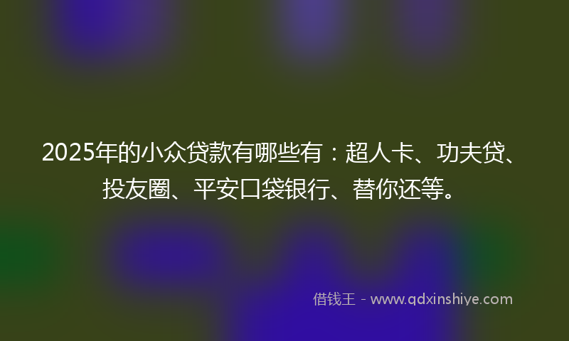 2025年的小众贷款有哪些有：超人卡、功夫贷、投友圈、平安口袋银行、替你还等。