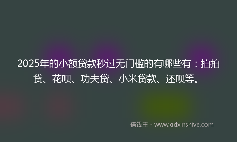 2025年的小额贷款秒过无门槛的有哪些有：拍拍贷、花呗、功夫贷、小米贷款、还呗等。
