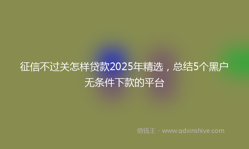 征信不过关怎样贷款2025年精选，总结5个黑户无条件下款的平台