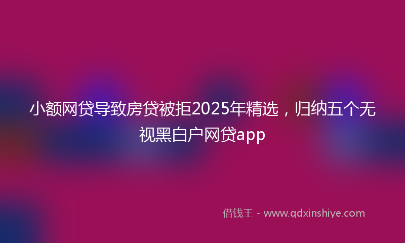 小额网贷导致房贷被拒2025年精选，归纳五个无视黑白户网贷app