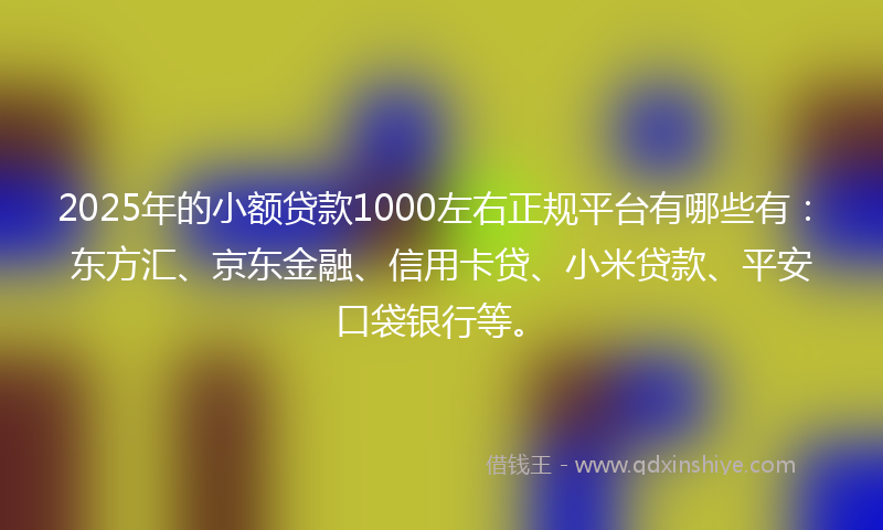 2025年的小额贷款1000左右正规平台有哪些有：东方汇、京东金融、信用卡贷、小米贷款、平安口袋银行等。