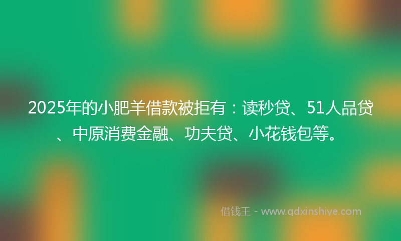 2025年的小肥羊借款被拒有：读秒贷、51人品贷、中原消费金融、功夫贷、小花钱包等。