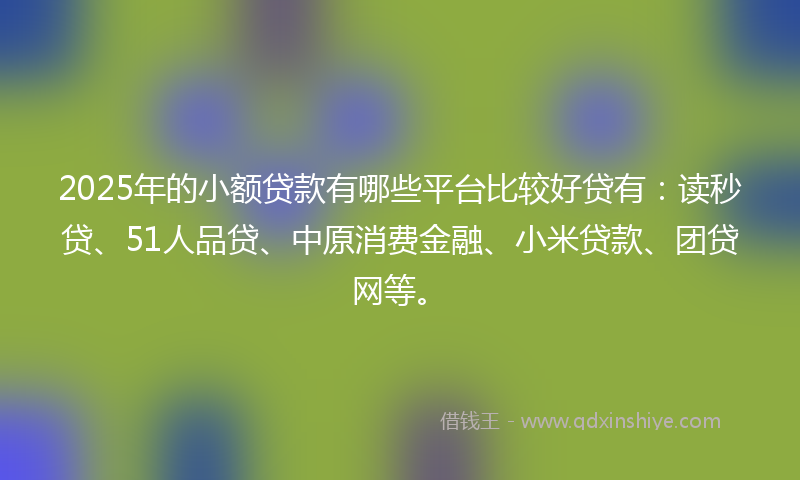 2025年的小额贷款有哪些平台比较好贷有：读秒贷、51人品贷、中原消费金融、小米贷款、团贷网等。