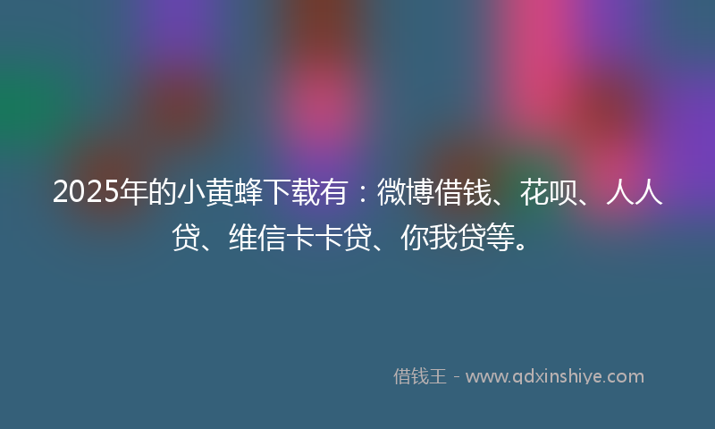 2025年的小黄蜂下载有：微博借钱、花呗、人人贷、维信卡卡贷、你我贷等。
