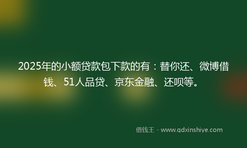2025年的小额贷款包下款的有：替你还、微博借钱、51人品贷、京东金融、还呗等。