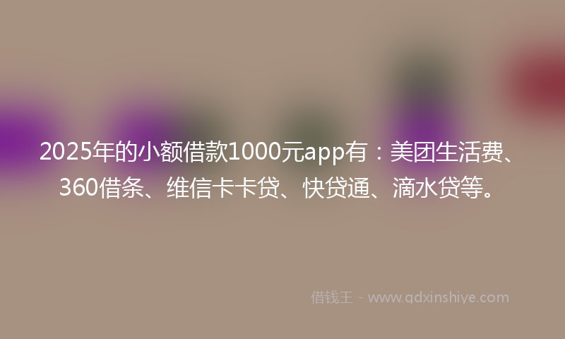 2025年的小额借款1000元app有：美团生活费、360借条、维信卡卡贷、快贷通、滴水贷等。