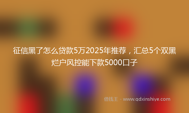征信黑了怎么贷款5万2025年推荐，汇总5个双黑烂户风控能下款5000口子