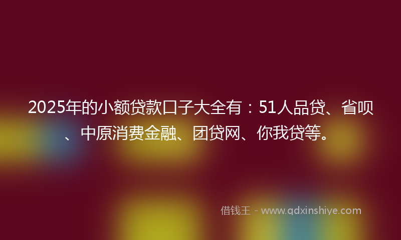 2025年的小额贷款口子大全有：51人品贷、省呗、中原消费金融、团贷网、你我贷等。