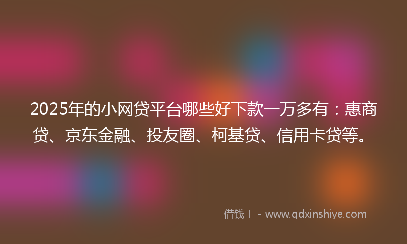 2025年的小网贷平台哪些好下款一万多有：惠商贷、京东金融、投友圈、柯基贷、信用卡贷等。
