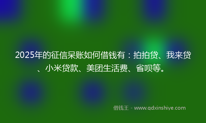 2025年的征信呆账如何借钱有：拍拍贷、我来贷、小米贷款、美团生活费、省呗等。
