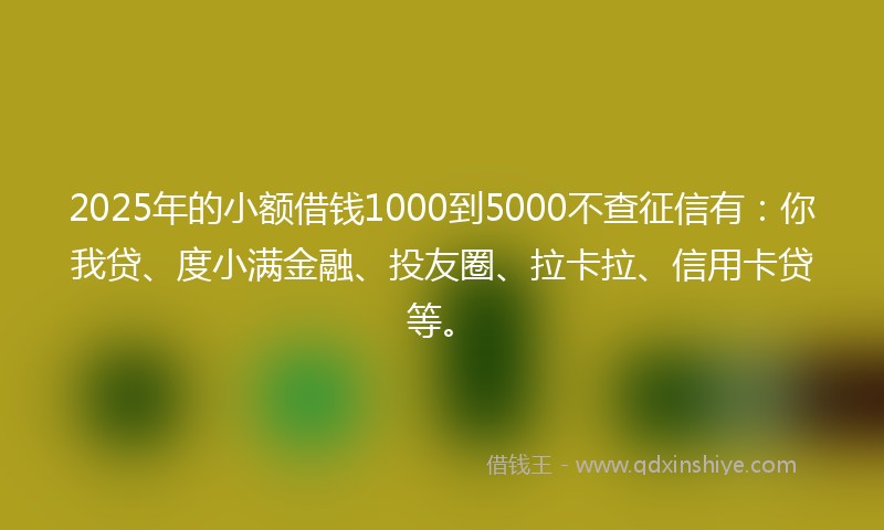 2025年的小额借钱1000到5000不查征信有：你我贷、度小满金融、投友圈、拉卡拉、信用卡贷等。