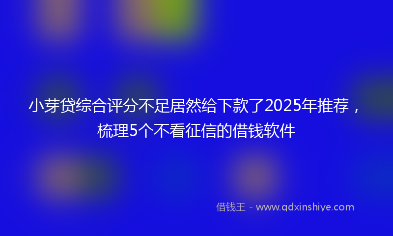 小芽贷综合评分不足居然给下款了2025年推荐，梳理5个不看征信的借钱软件