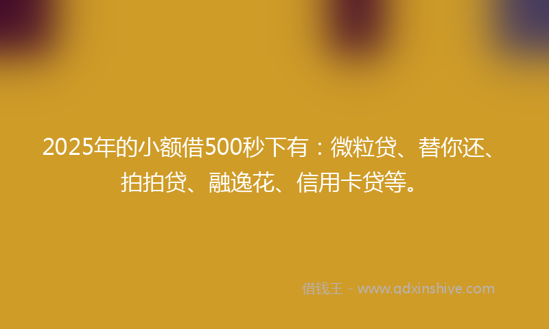 2025年的小额借500秒下有：微粒贷、替你还、拍拍贷、融逸花、信用卡贷等。