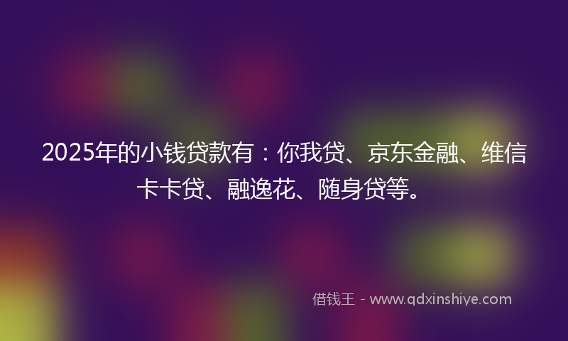 2025年的小钱贷款有：你我贷、京东金融、维信卡卡贷、融逸花、随身贷等。