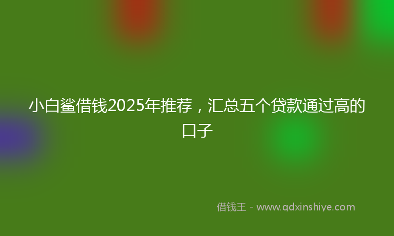 小白鲨借钱2025年推荐，汇总五个贷款通过高的口子