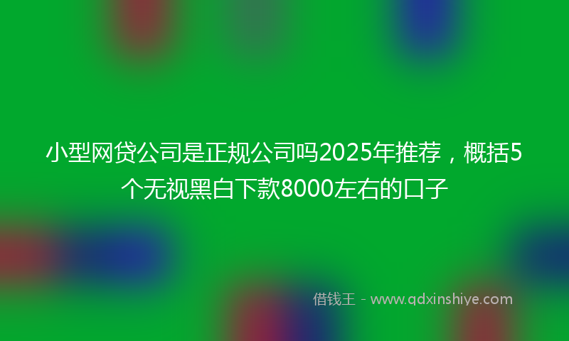 小型网贷公司是正规公司吗2025年推荐，概括5个无视黑白下款8000左右的口子