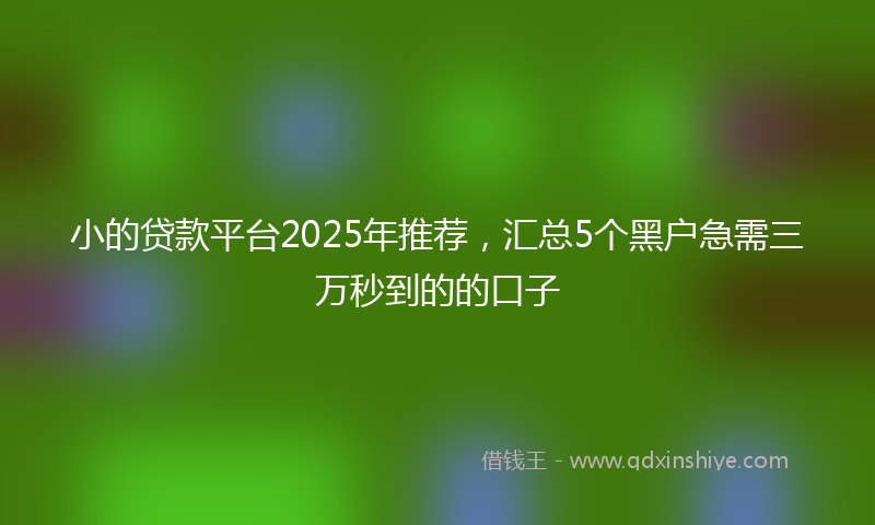 小的贷款平台2025年推荐，汇总5个黑户急需三万秒到的的口子