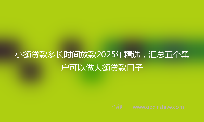 小额贷款多长时间放款2025年精选，汇总五个黑户可以做大额贷款口子