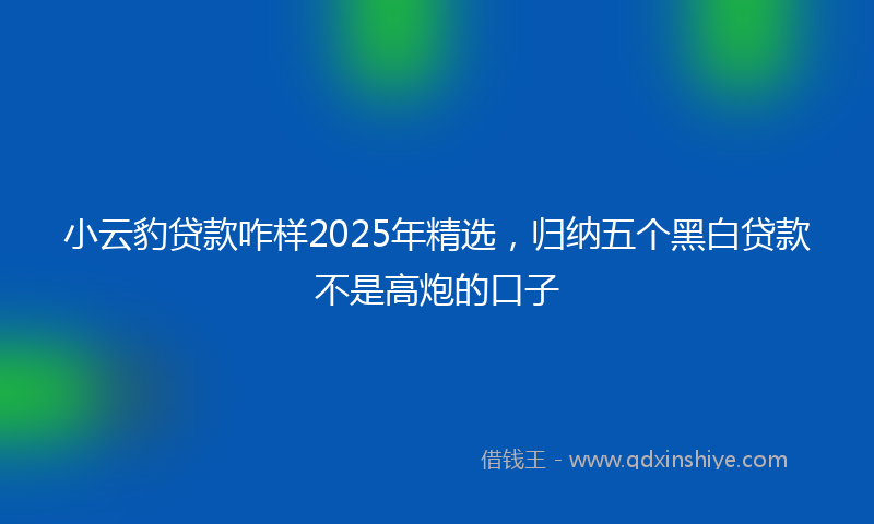 小云豹贷款咋样2025年精选，归纳五个黑白贷款不是高炮的口子