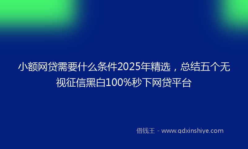 小额网贷需要什么条件2025年精选，总结五个无视征信黑白100%秒下网贷平台