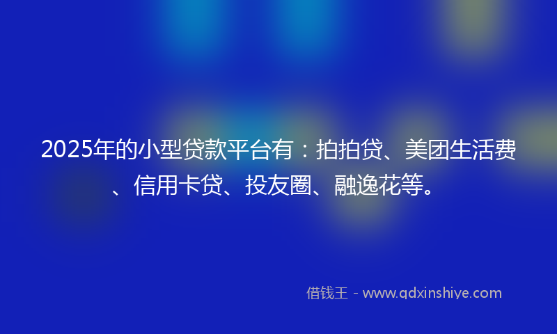 2025年的小型贷款平台有：拍拍贷、美团生活费、信用卡贷、投友圈、融逸花等。