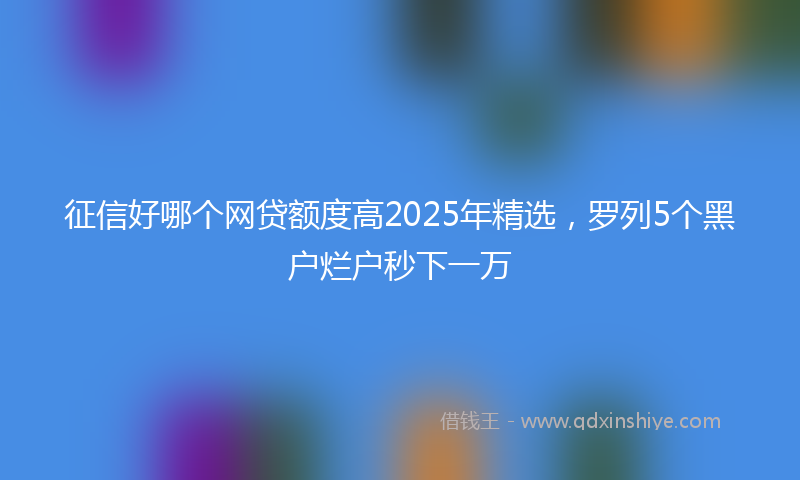 征信好哪个网贷额度高2025年精选，罗列5个黑户烂户秒下一万