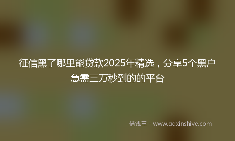 征信黑了哪里能贷款2025年精选，分享5个黑户急需三万秒到的的平台