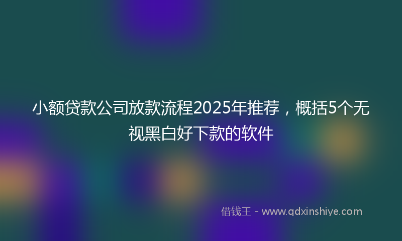 小额贷款公司放款流程2025年推荐，概括5个无视黑白好下款的软件