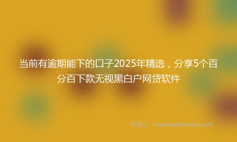 当前有逾期能下的口子2025年精选，分享5个百分百下款无视黑白户网贷软件