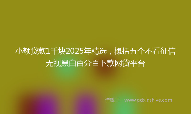 小额贷款1千块2025年精选，概括五个不看征信无视黑白百分百下款网贷平台