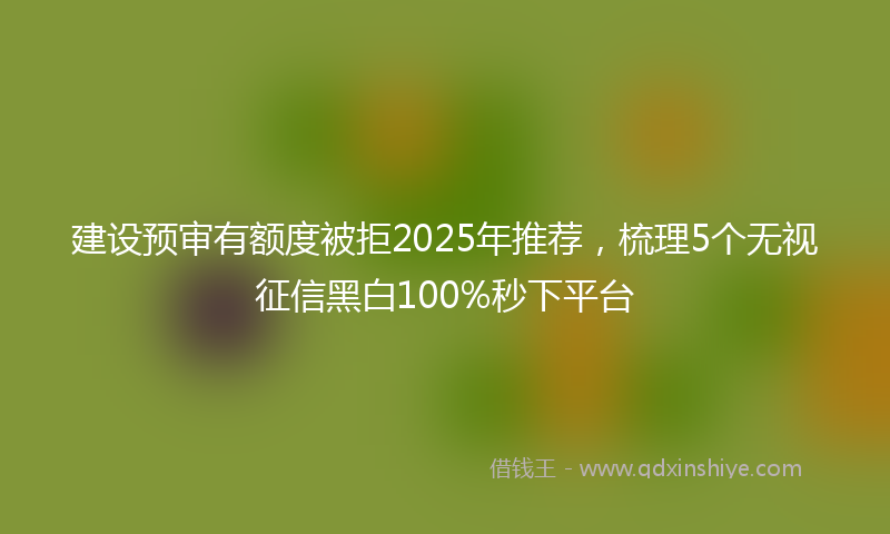 建设预审有额度被拒2025年推荐，梳理5个无视征信黑白100%秒下平台