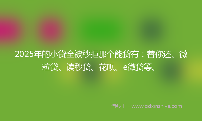 2025年的小贷全被秒拒那个能贷有：替你还、微粒贷、读秒贷、花呗、e微贷等。
