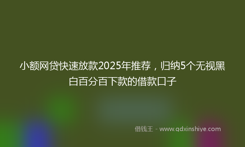 小额网贷快速放款2025年推荐，归纳5个无视黑白百分百下款的借款口子