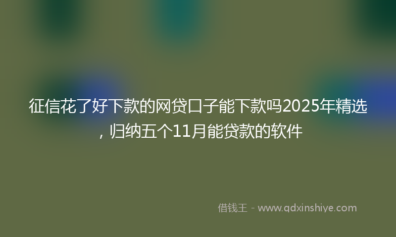 征信花了好下款的网贷口子能下款吗2025年精选，归纳五个11月能贷款的软件