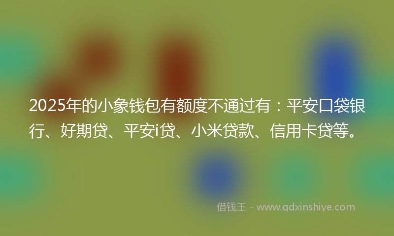 2025年的小象钱包有额度不通过有：平安口袋银行、好期贷、平安i贷、小米贷款、信用卡贷等。