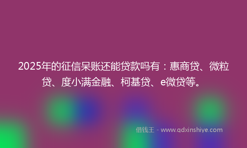 2025年的征信呆账还能贷款吗有：惠商贷、微粒贷、度小满金融、柯基贷、e微贷等。