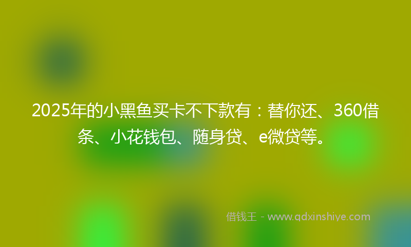 2025年的小黑鱼买卡不下款有：替你还、360借条、小花钱包、随身贷、e微贷等。