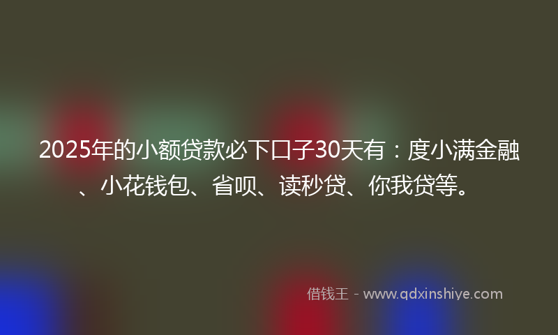 2025年的小额贷款必下口子30天有：度小满金融、小花钱包、省呗、读秒贷、你我贷等。