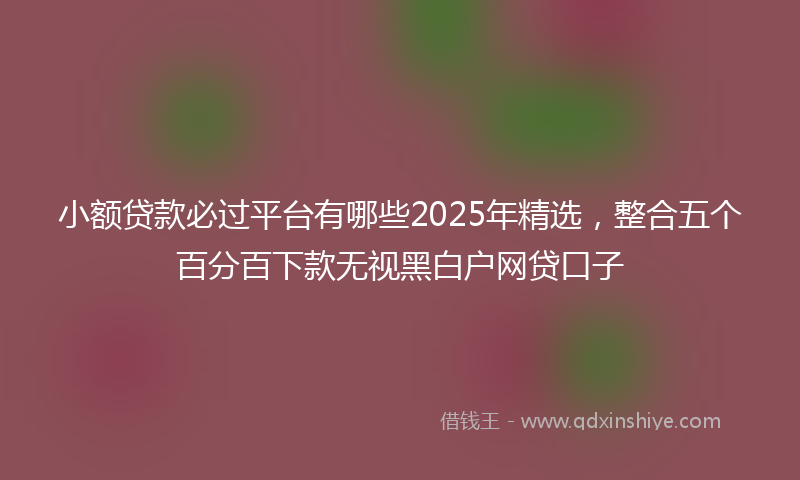 小额贷款必过平台有哪些2025年精选，整合五个百分百下款无视黑白户网贷口子