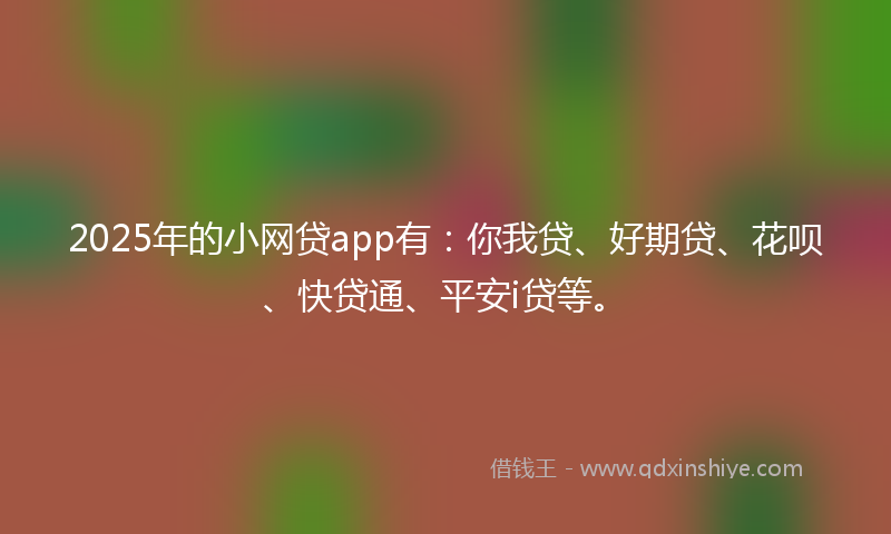 2025年的小网贷app有：你我贷、好期贷、花呗、快贷通、平安i贷等。