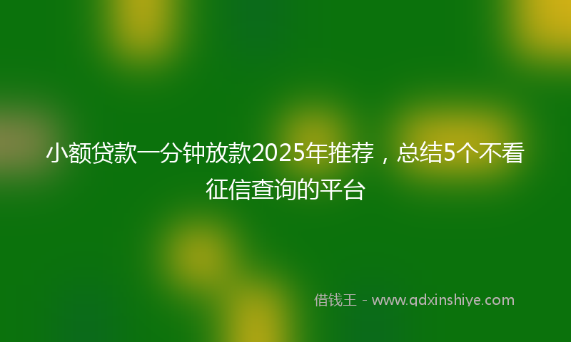 小额贷款一分钟放款2025年推荐，总结5个不看征信查询的平台