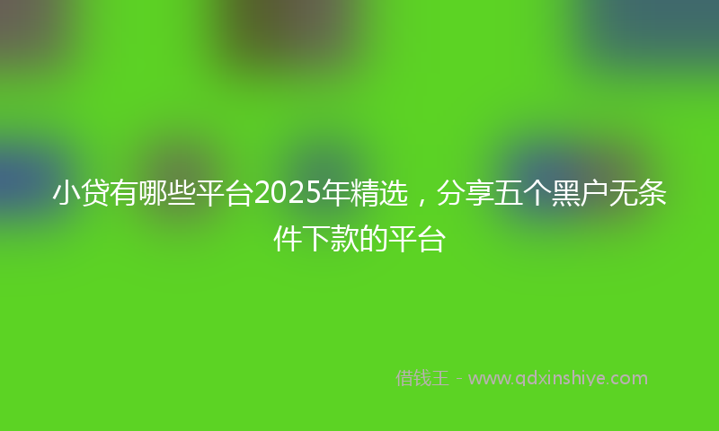 小贷有哪些平台2025年精选，分享五个黑户无条件下款的平台
