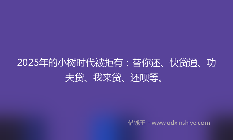 2025年的小树时代被拒有：替你还、快贷通、功夫贷、我来贷、还呗等。