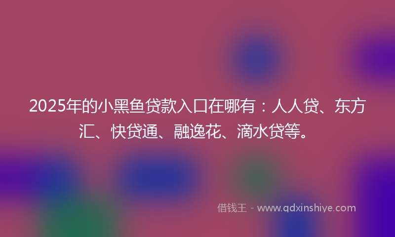 2025年的小黑鱼贷款入口在哪有：人人贷、东方汇、快贷通、融逸花、滴水贷等。