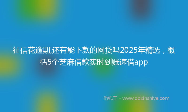 征信花逾期,还有能下款的网贷吗2025年精选，概括5个芝麻借款实时到账速借app