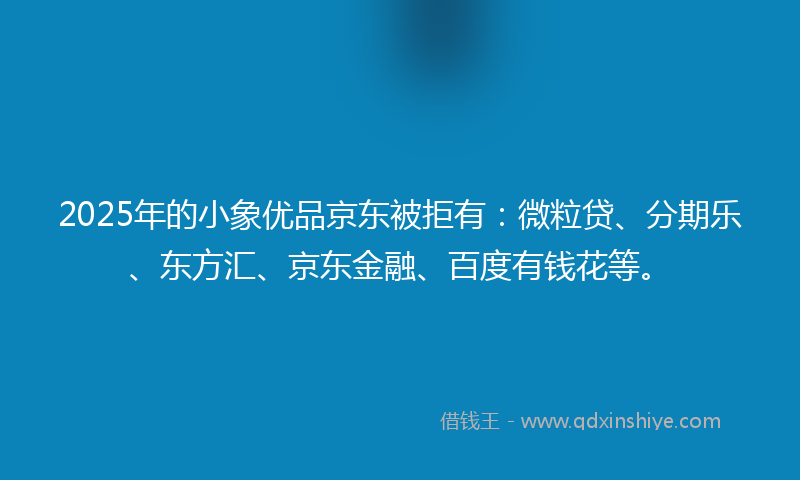 2025年的小象优品京东被拒有：微粒贷、分期乐、东方汇、京东金融、百度有钱花等。