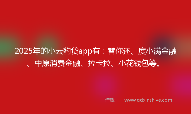 2025年的小云豹贷app有：替你还、度小满金融、中原消费金融、拉卡拉、小花钱包等。